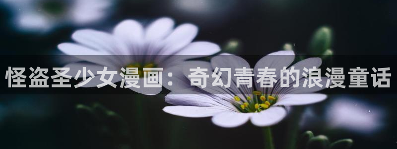 韩漫app漫画免费：怪盗圣少女漫画：奇幻青春的浪漫童话