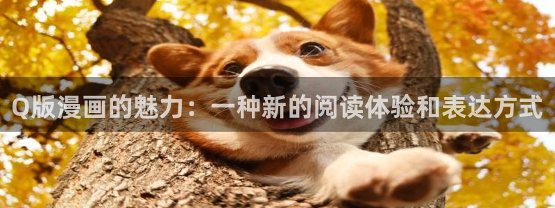 韩漫在线观看动漫：Q版漫画的魅力：一种新的阅读体验和表达方式