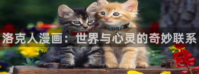 韩漫画在线看：洛克人漫画：世界与心灵的奇妙联系