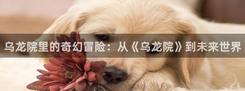 韩漫现在观看：乌龙院里的奇幻冒险：从《乌龙院》到未来世界