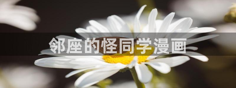污韩漫画大全：邻座的怪同学漫画