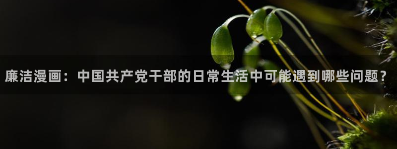韩漫画免费阅读下拉式全集：廉洁漫画：中国共产党干部的日常生活中可能遇到哪些问题？