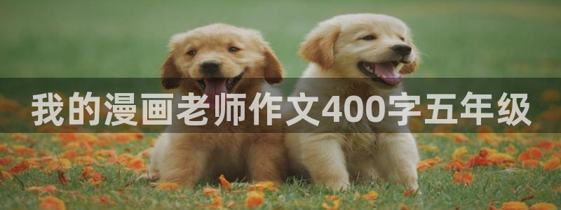 韩漫免费阅读漫画在线观看：我的漫画老师作文400字五年级
