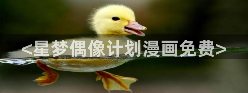恶作韩漫漫画免费观看：<星梦偶像计划漫画免费>