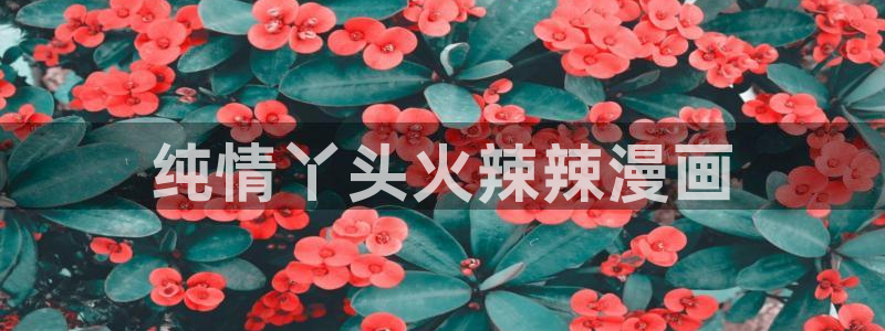 韩漫画 无删减：纯情丫头火辣辣漫画