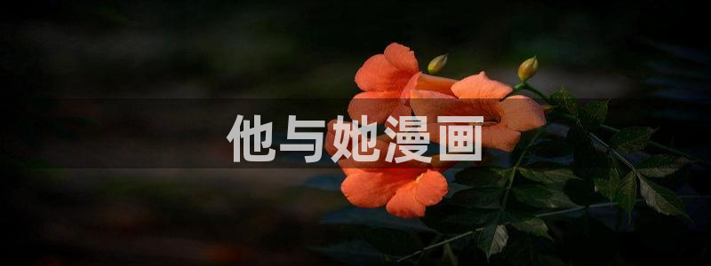 3d漫画韩漫漫官网免费阅读入口