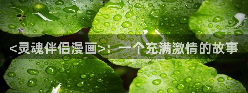 韩漫画无删减外网观看