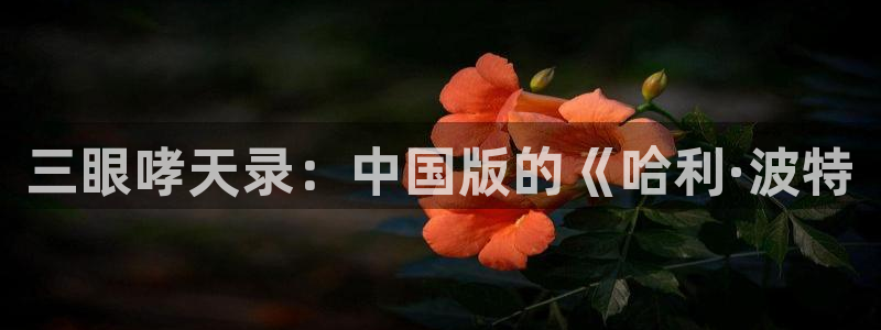 在线看韩漫画免费