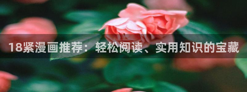 韩漫网页网站
