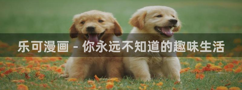 yy韩漫免费看