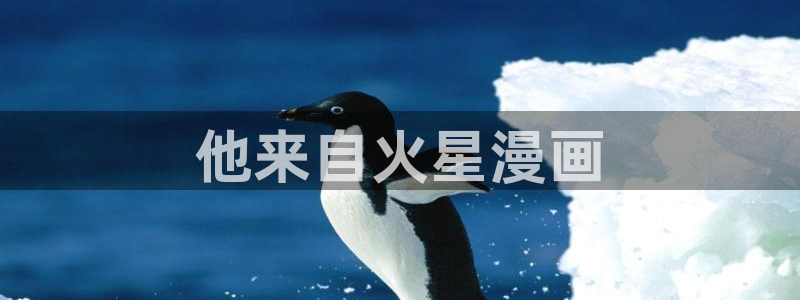 51韩漫免费阅读