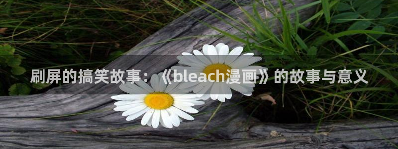 韩漫乐园免费漫画入口在哪：刷屏的搞笑故事：《bleach漫画》的故事与意义
